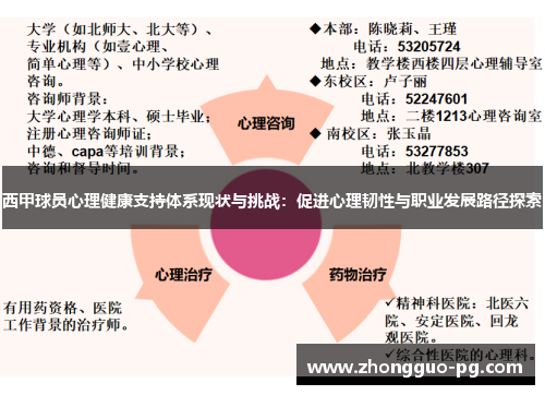 西甲球员心理健康支持体系现状与挑战：促进心理韧性与职业发展路径探索